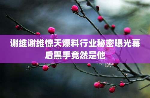谢维谢维惊天爆料行业秘密曝光幕后黑手竟然是他