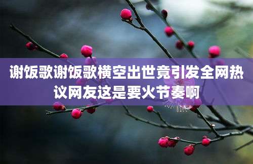 谢饭歌谢饭歌横空出世竟引发全网热议网友这是要火节奏啊