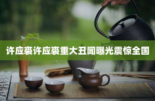 许应裘许应裘重大丑闻曝光震惊全国