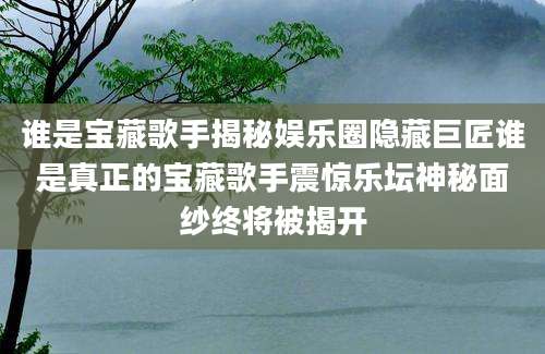 谁是宝藏歌手揭秘娱乐圈隐藏巨匠谁是真正的宝藏歌手震惊乐坛神秘面纱终将被揭开