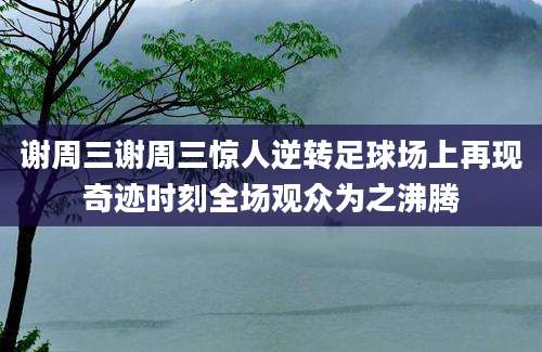 谢周三谢周三惊人逆转足球场上再现奇迹时刻全场观众为之沸腾