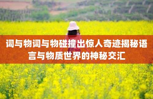 词与物词与物碰撞出惊人奇迹揭秘语言与物质世界的神秘交汇