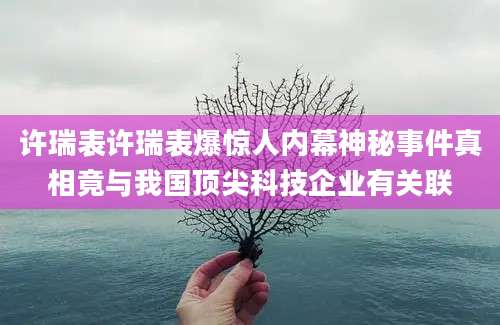许瑞表许瑞表爆惊人内幕神秘事件真相竟与我国顶尖科技企业有关联