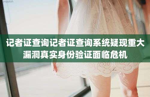 记者证查询记者证查询系统疑现重大漏洞真实身份验证面临危机