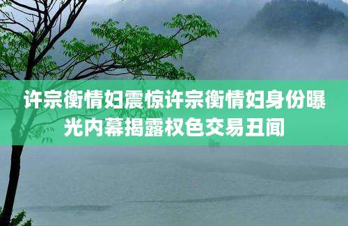 许宗衡情妇震惊许宗衡情妇身份曝光内幕揭露权色交易丑闻