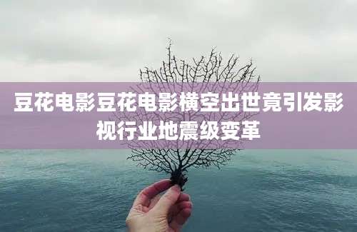 豆花电影豆花电影横空出世竟引发影视行业地震级变革