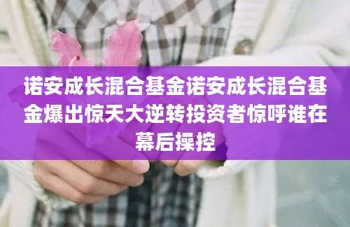 诺安成长混合基金诺安成长混合基金爆出惊天大逆转投资者惊呼谁在幕后操控