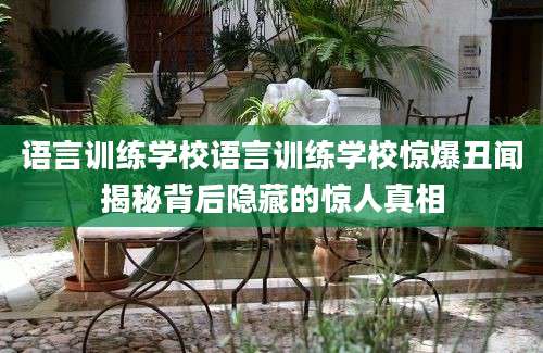 语言训练学校语言训练学校惊爆丑闻揭秘背后隐藏的惊人真相