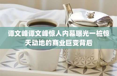 谭文峰谭文峰惊人内幕曝光一桩惊天动地的商业巨变背后