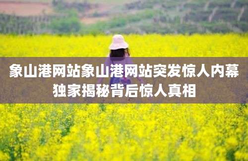 象山港网站象山港网站突发惊人内幕独家揭秘背后惊人真相