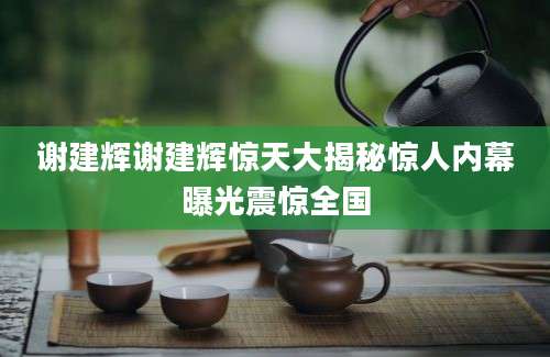 谢建辉谢建辉惊天大揭秘惊人内幕曝光震惊全国