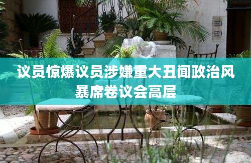 议员惊爆议员涉嫌重大丑闻政治风暴席卷议会高层
