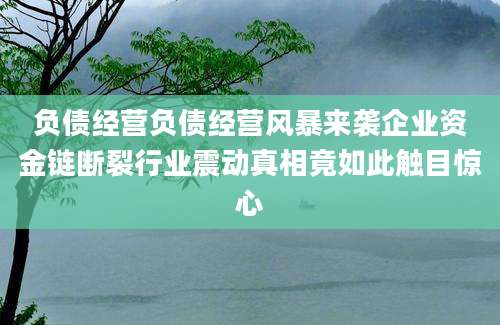 负债经营负债经营风暴来袭企业资金链断裂行业震动真相竟如此触目惊心