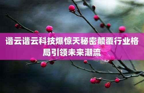 谐云谐云科技爆惊天秘密颠覆行业格局引领未来潮流