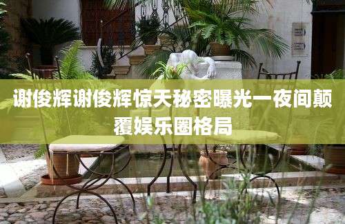 谢俊辉谢俊辉惊天秘密曝光一夜间颠覆娱乐圈格局