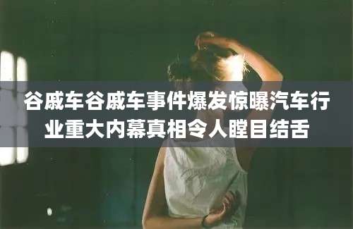谷戚车谷戚车事件爆发惊曝汽车行业重大内幕真相令人瞠目结舌