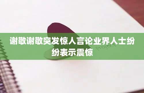 谢敬谢敬突发惊人言论业界人士纷纷表示震惊