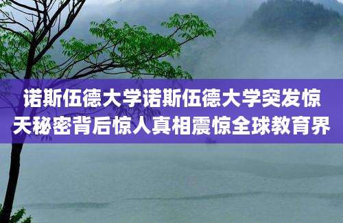 诺斯伍德大学诺斯伍德大学突发惊天秘密背后惊人真相震惊全球教育界