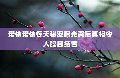 诺依诺依惊天秘密曝光背后真相令人瞠目结舌