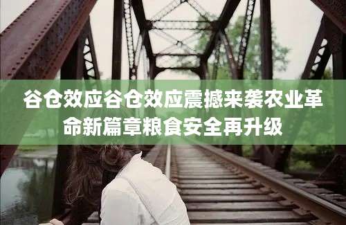 谷仓效应谷仓效应震撼来袭农业革命新篇章粮食安全再升级