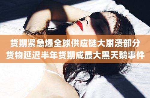 货期紧急爆全球供应链大崩溃部分货物延迟半年货期成最大黑天鹅事件