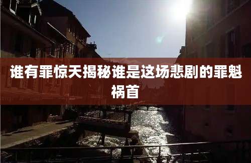 谁有罪惊天揭秘谁是这场悲剧的罪魁祸首