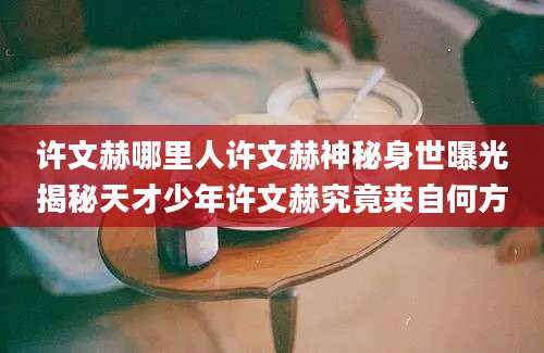 许文赫哪里人许文赫神秘身世曝光揭秘天才少年许文赫究竟来自何方