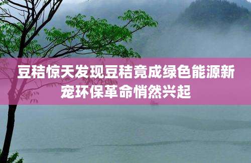 豆秸惊天发现豆秸竟成绿色能源新宠环保革命悄然兴起