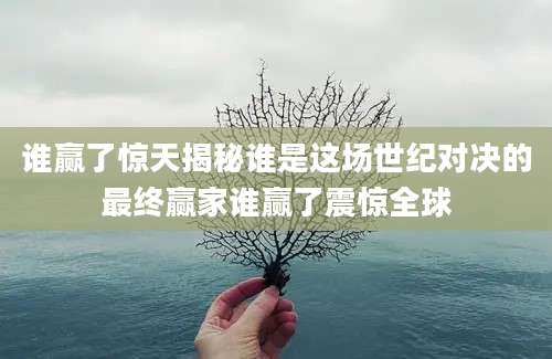 谁赢了惊天揭秘谁是这场世纪对决的最终赢家谁赢了震惊全球