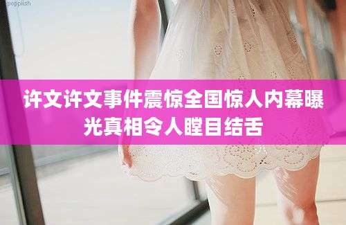 许文许文事件震惊全国惊人内幕曝光真相令人瞠目结舌