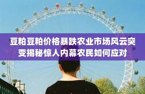 豆粕豆粕价格暴跌农业市场风云突变揭秘惊人内幕农民如何应对