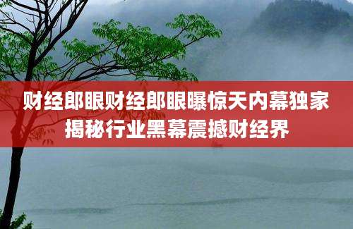 财经郎眼财经郎眼曝惊天内幕独家揭秘行业黑幕震撼财经界