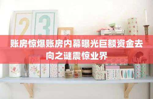 账房惊爆账房内幕曝光巨额资金去向之谜震惊业界