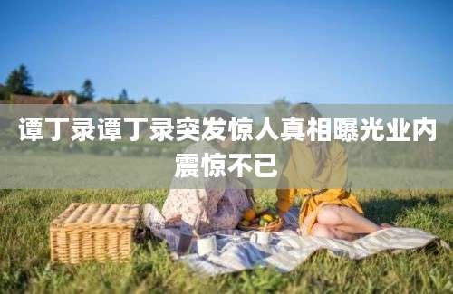 谭丁录谭丁录突发惊人真相曝光业内震惊不已