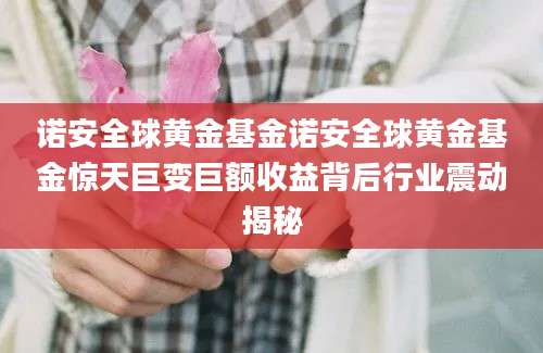 诺安全球黄金基金诺安全球黄金基金惊天巨变巨额收益背后行业震动揭秘