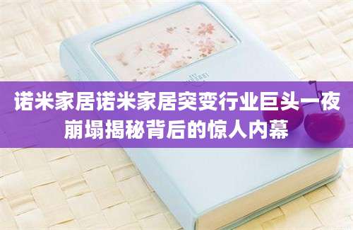 诺米家居诺米家居突变行业巨头一夜崩塌揭秘背后的惊人内幕