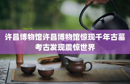 许昌博物馆许昌博物馆惊现千年古墓考古发现震惊世界