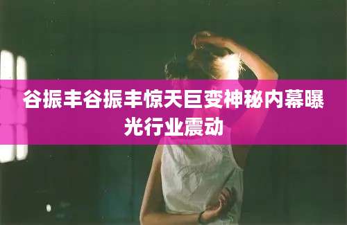 谷振丰谷振丰惊天巨变神秘内幕曝光行业震动