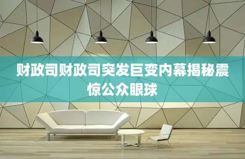 财政司财政司突发巨变内幕揭秘震惊公众眼球