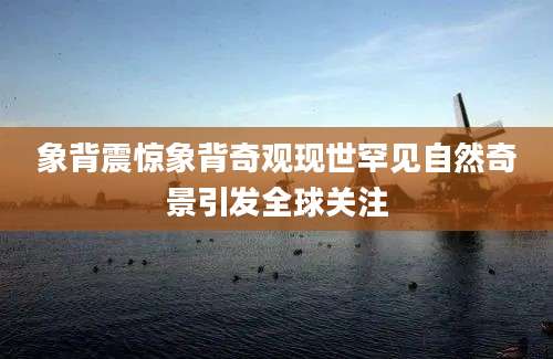 象背震惊象背奇观现世罕见自然奇景引发全球关注