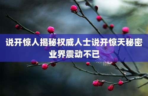 说开惊人揭秘权威人士说开惊天秘密业界震动不已