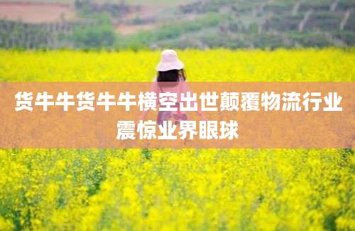 货牛牛货牛牛横空出世颠覆物流行业震惊业界眼球