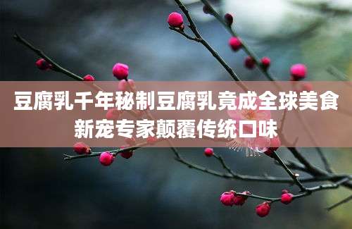 豆腐乳千年秘制豆腐乳竟成全球美食新宠专家颠覆传统口味