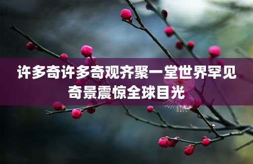 许多奇许多奇观齐聚一堂世界罕见奇景震惊全球目光