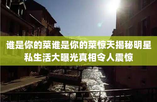 谁是你的菜谁是你的菜惊天揭秘明星私生活大曝光真相令人震惊