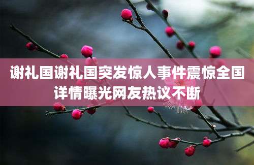 谢礼国谢礼国突发惊人事件震惊全国详情曝光网友热议不断