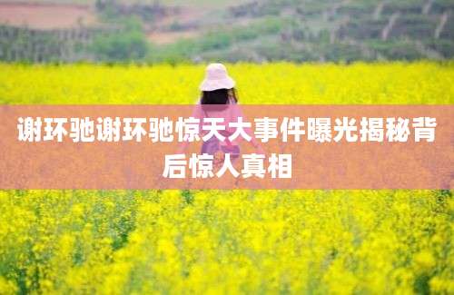 谢环驰谢环驰惊天大事件曝光揭秘背后惊人真相