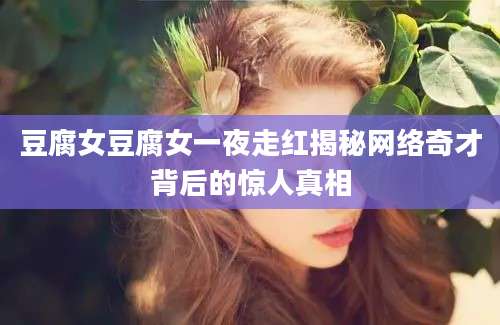 豆腐女豆腐女一夜走红揭秘网络奇才背后的惊人真相