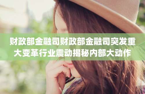 财政部金融司财政部金融司突发重大变革行业震动揭秘内部大动作