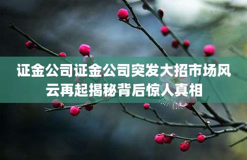 证金公司证金公司突发大招市场风云再起揭秘背后惊人真相